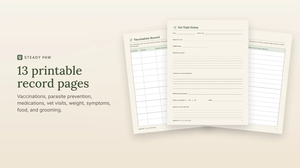 The Vaccination Record and Vet Visit Notes pages